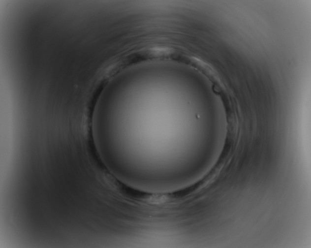 X0000093220762200710101345