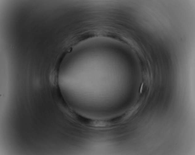 X0000093220766200710101345