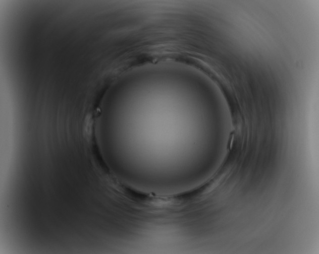 X0000093220767200710101345