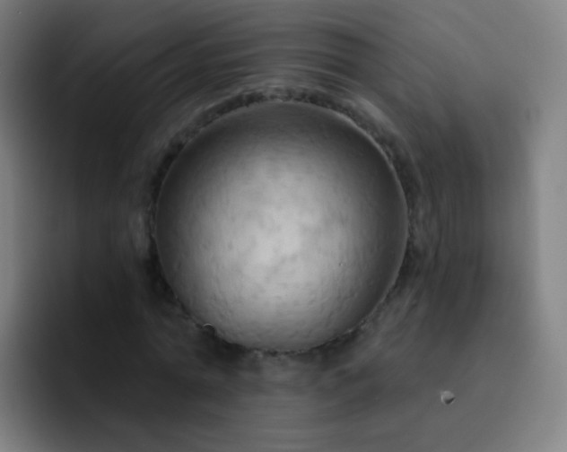 X0000093220774200710101344