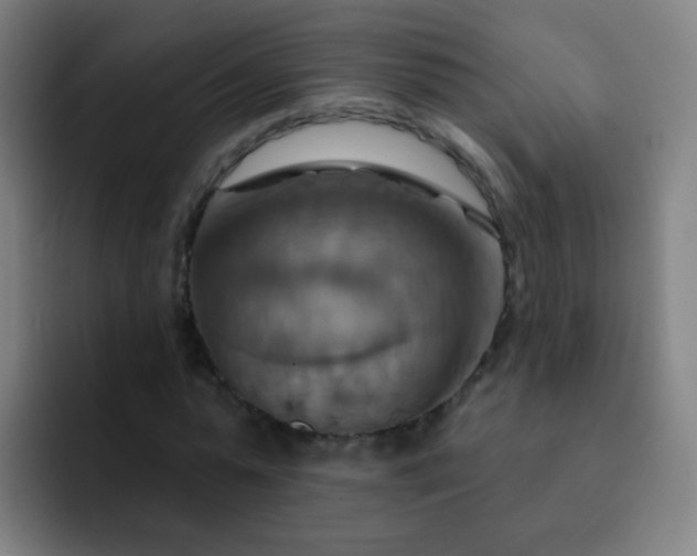 X0000093220775200710101344