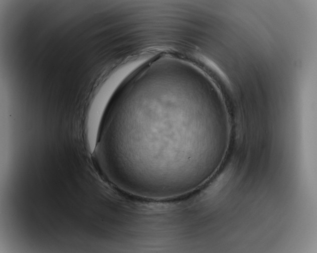 X0000093220777200710101344