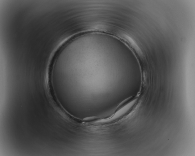 X0000093220780200710101344