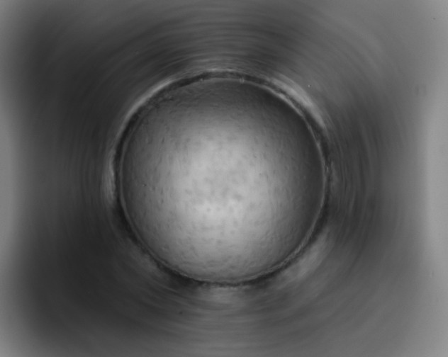 X0000093220782200710101344