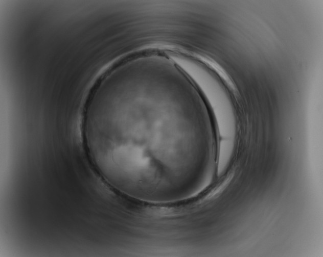 X0000093220783200710101344