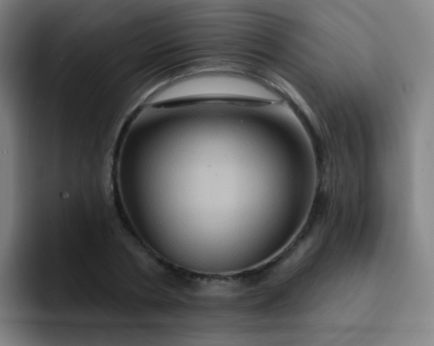 X0000093220786200710101344