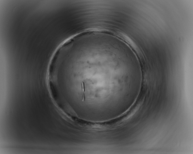 X0000093220787200710101344