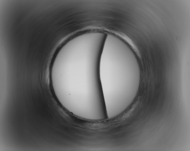 X0000093220791200710101344