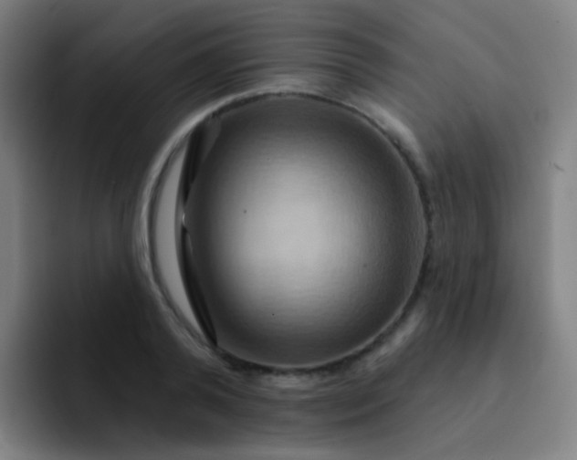 X0000093220792200710101344