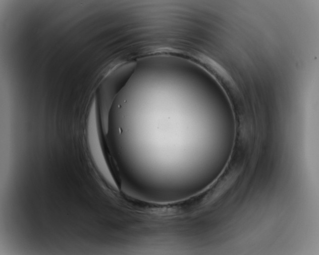 X0000093220793200710101344