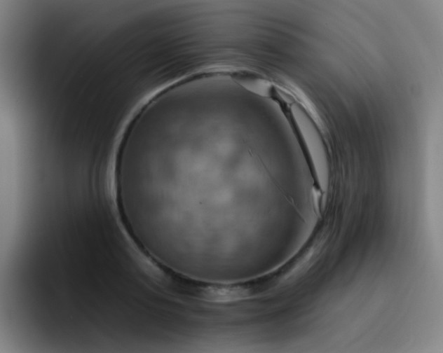 X0000093220795200710101344