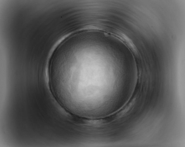 X0000093220796200710101344