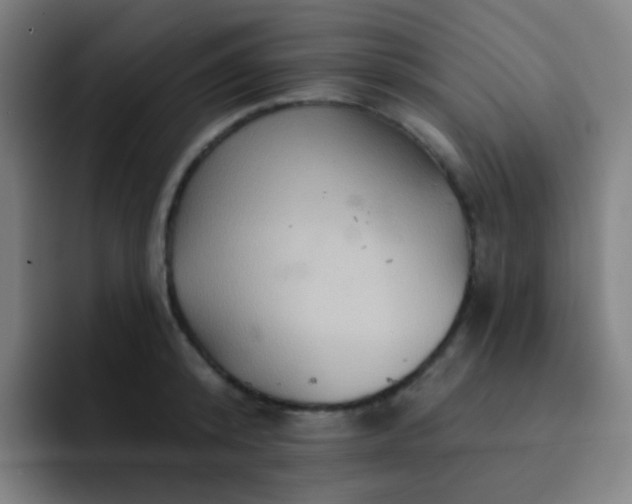 X0000093220800200710101344