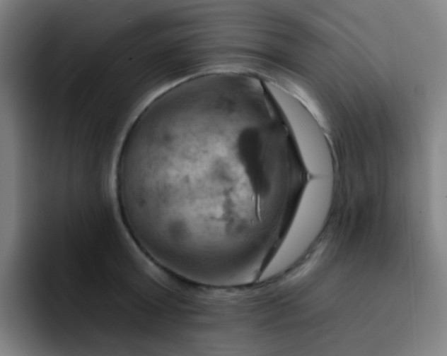 X0000093220803200710101344