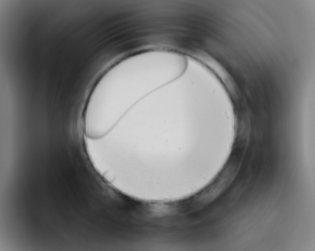 X0000093220807200710101344