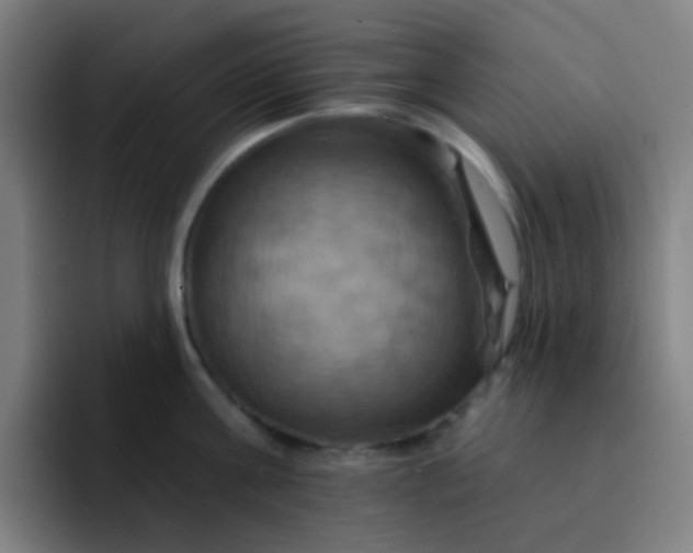 X0000093220811200710101344