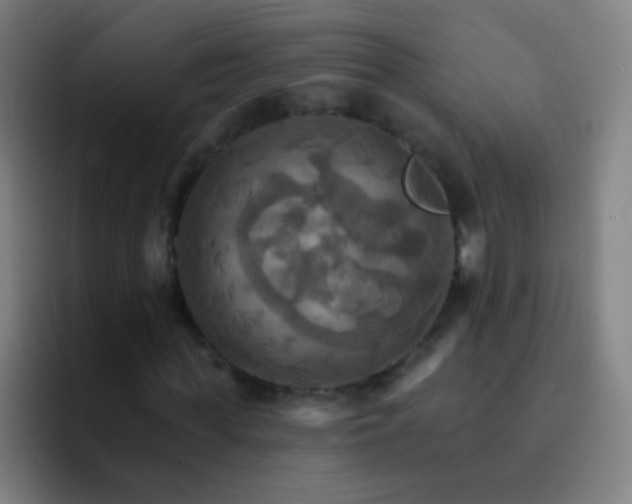 X0000093220819200710101343