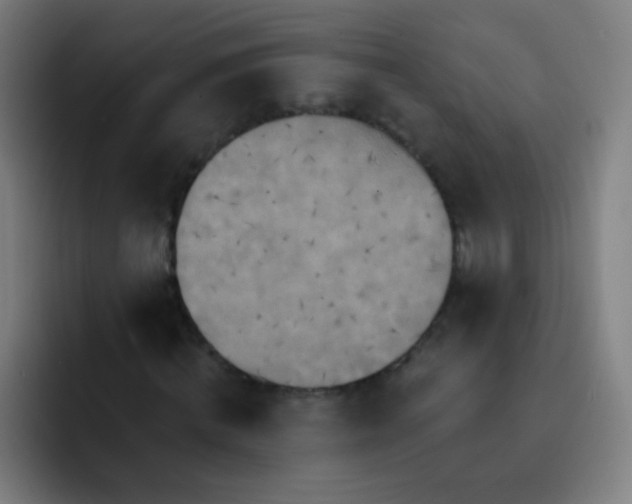 X0000093220820200710101343