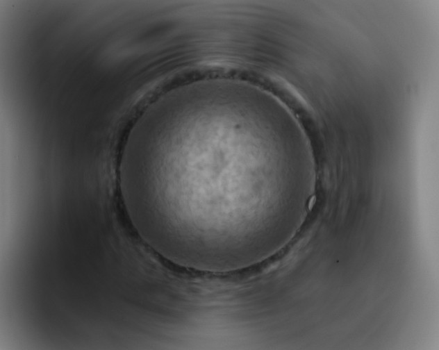 X0000093220821200710101343