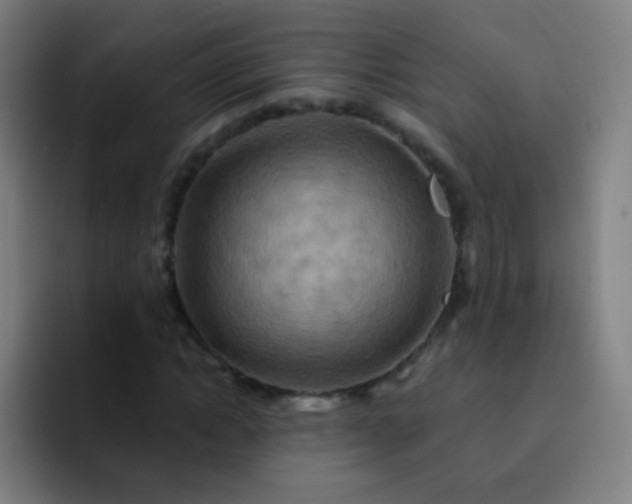 X0000093220822200710101343