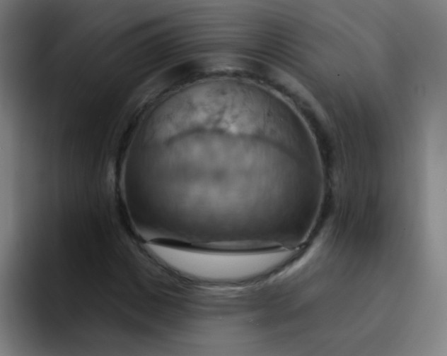 X0000093220825200710101343