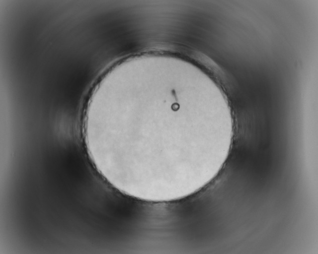 X0000093220828200710101343