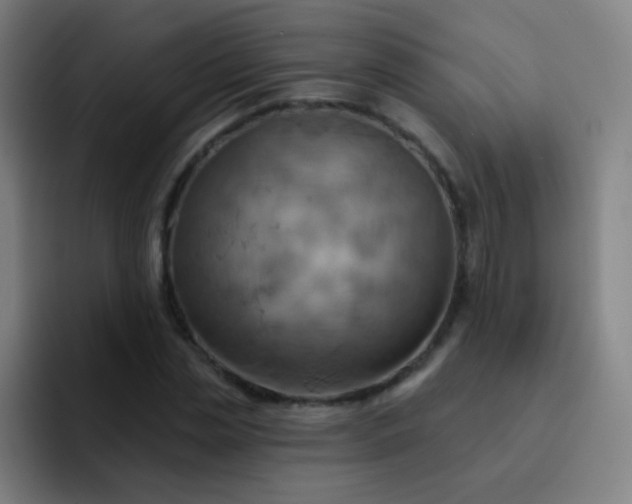 X0000093220829200710101343