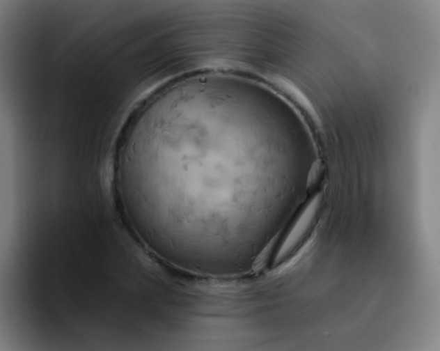 X0000093220831200710101343