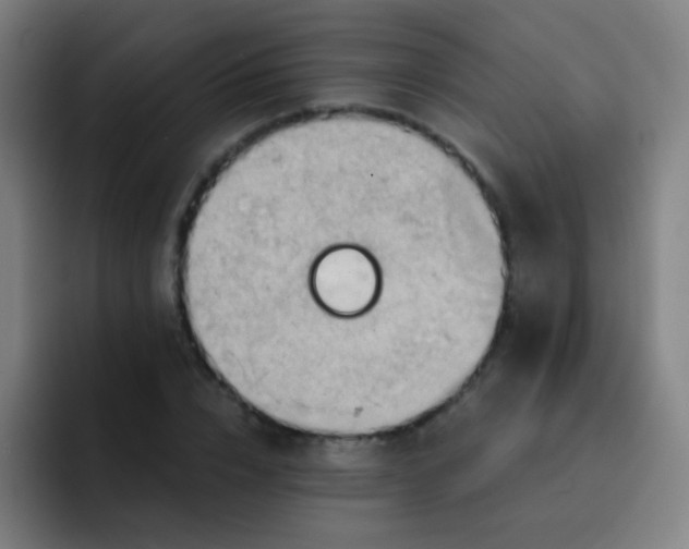 X0000093220832200710101343