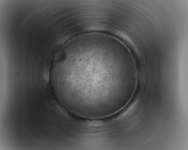 X0000093220833200710101343