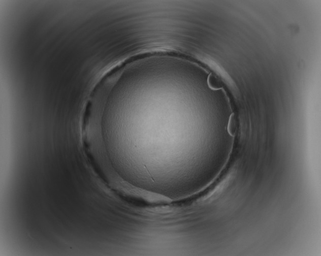 X0000093220834200710101343