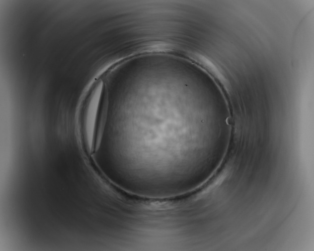 X0000093220835200710101343