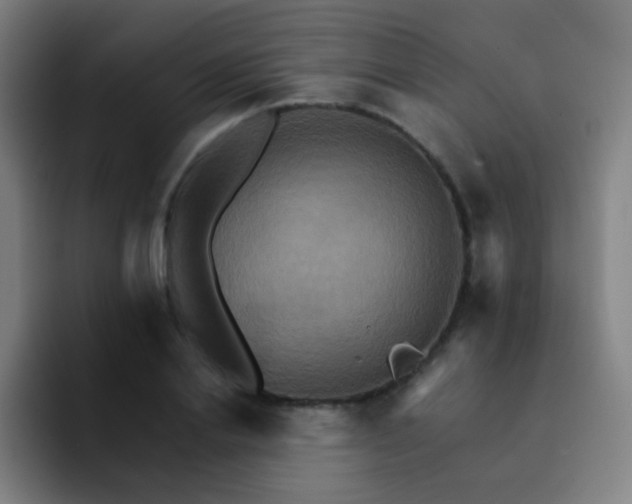 X0000093220838200710101343