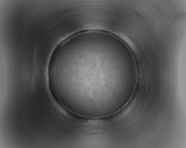 X0000093220840200710101343