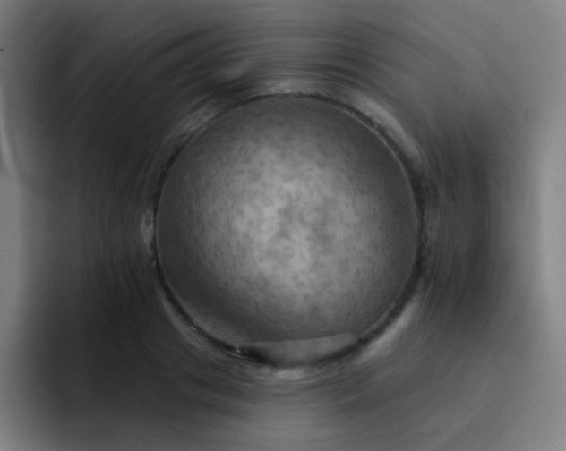 X0000093220841200710101343