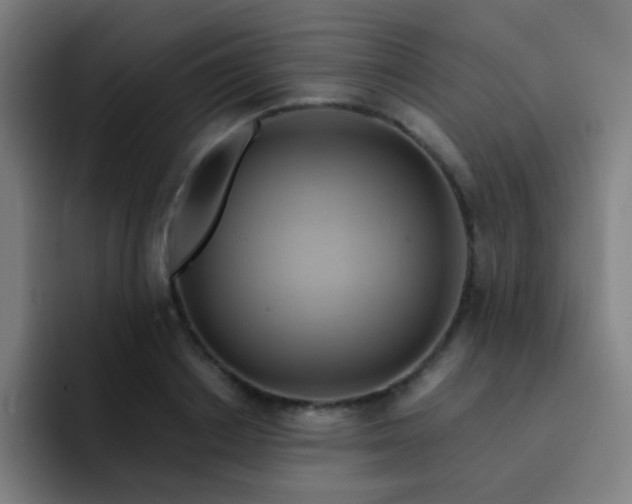 X0000093220842200710101343