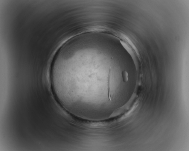 X0000093220843200710101343