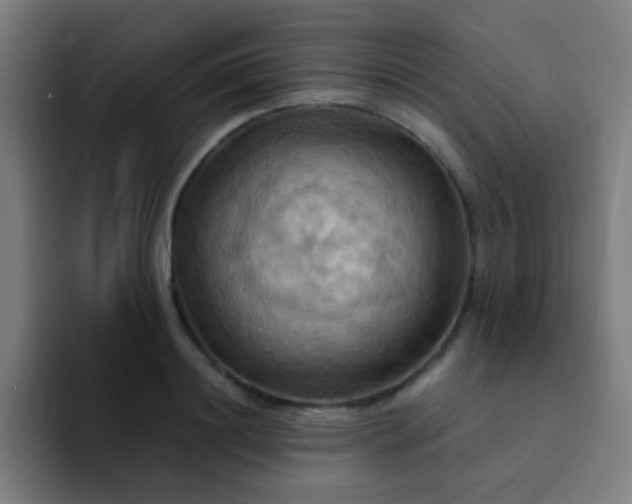 X0000093220844200710101343