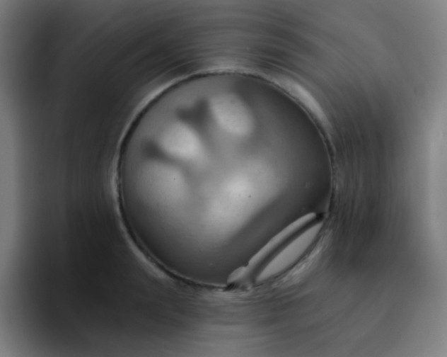 X0000093220847200710101343