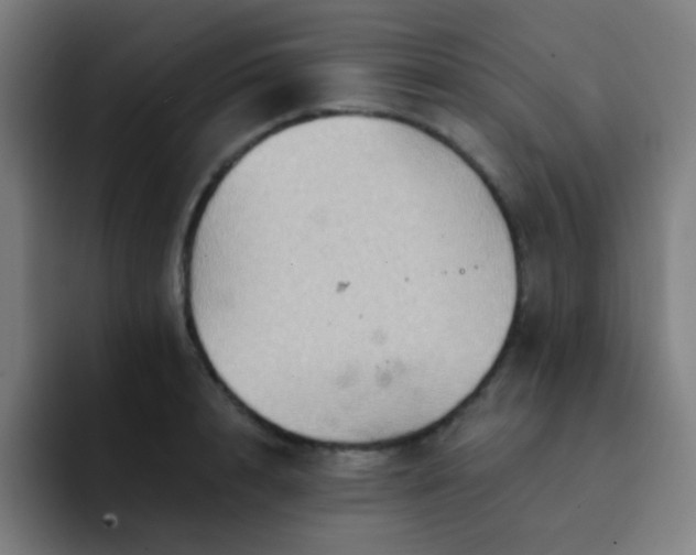 X0000093220848200710101343