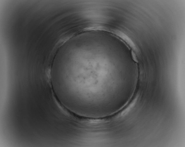 X0000093220849200710101343