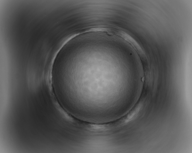 X0000093220852200710101343