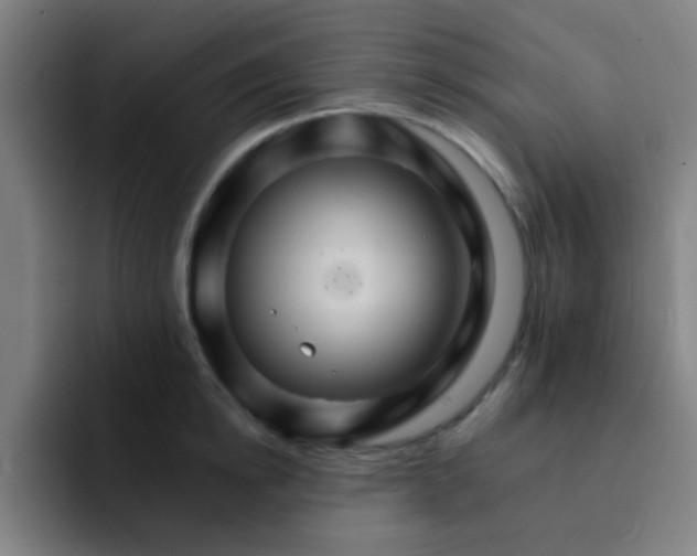 X0000093220854200710101343