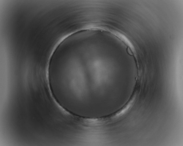 X0000093220855200710101343