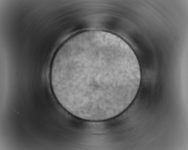 X0000093220856200710101343