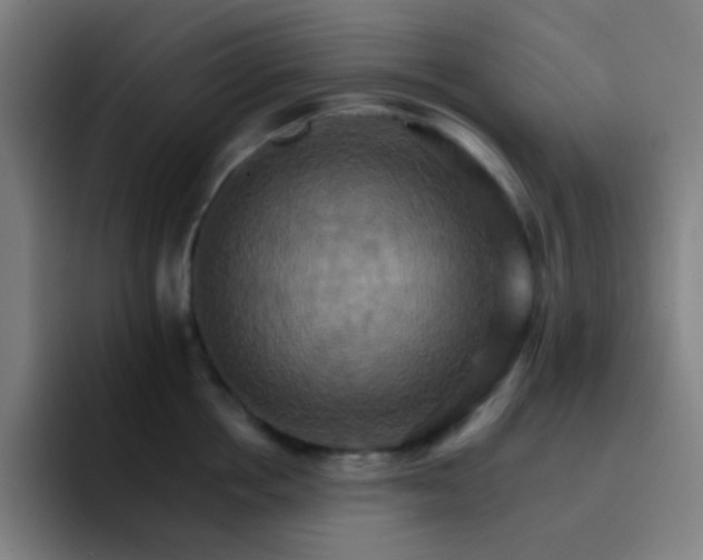 X0000093220858200710101343