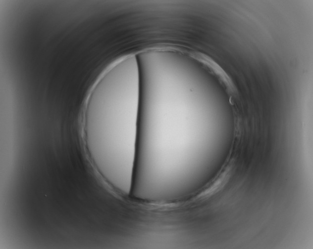 X0000093220860200710101344