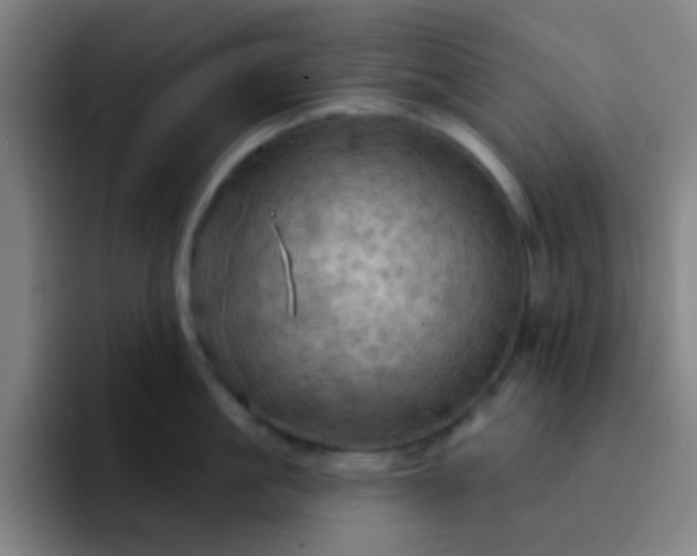 X0000093220861200710101344