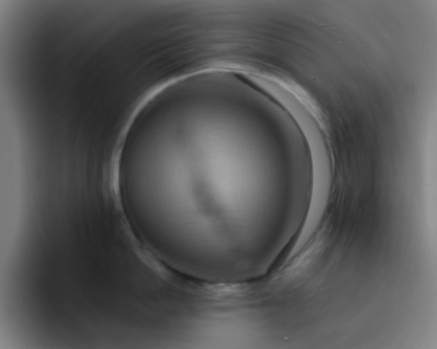 X0000093220862200710101344