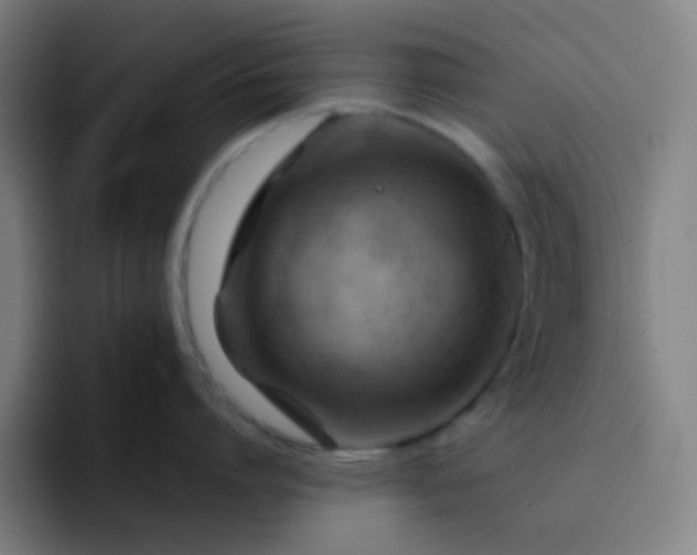 X0000093220864200710101344